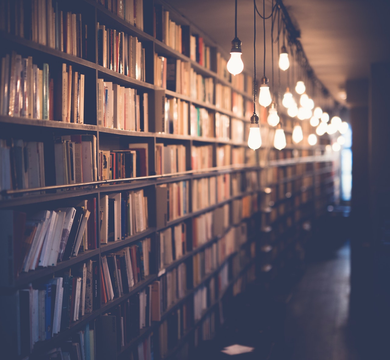 Bibliothek mit vielen Büchern